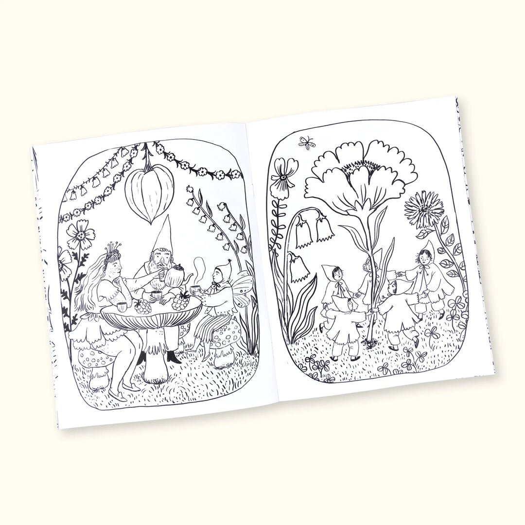 Fairyland Coloring Book