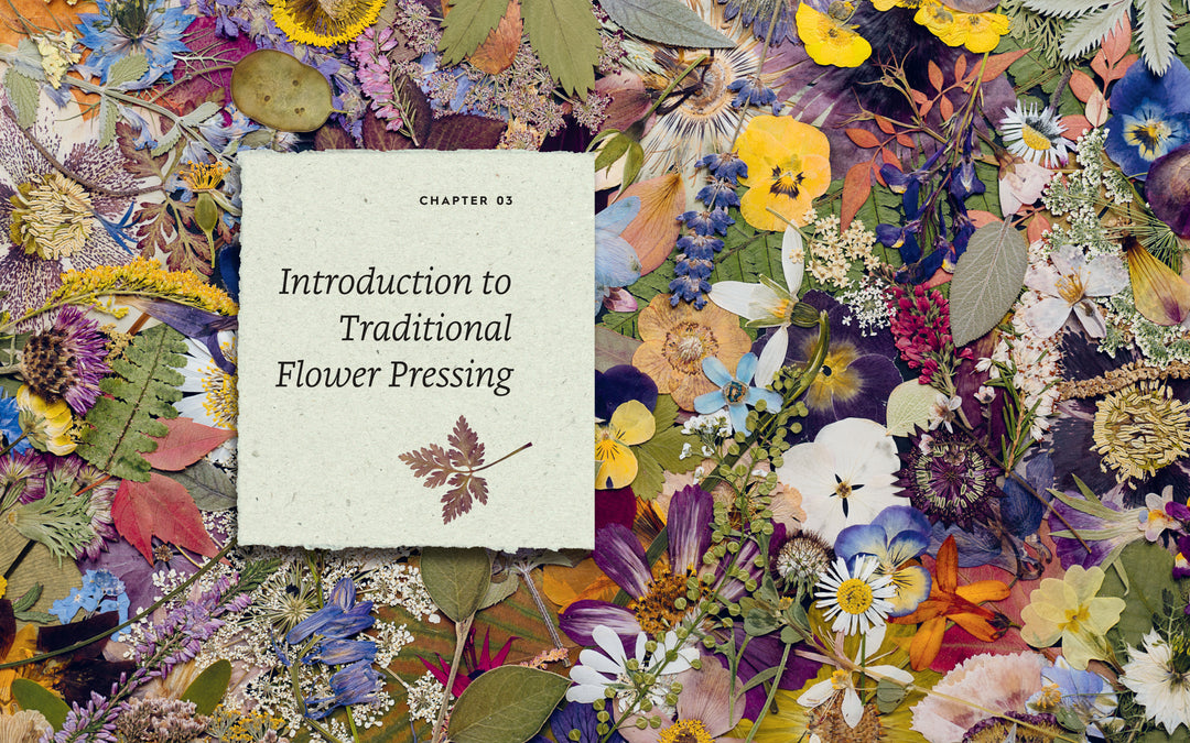 The Pressed Flower HandBook