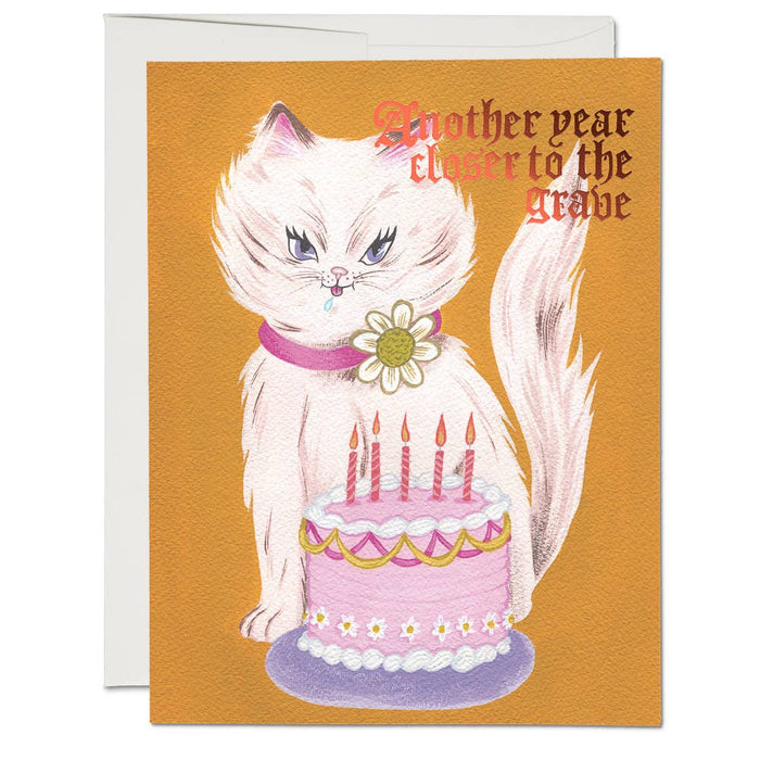 Kitty and Cake