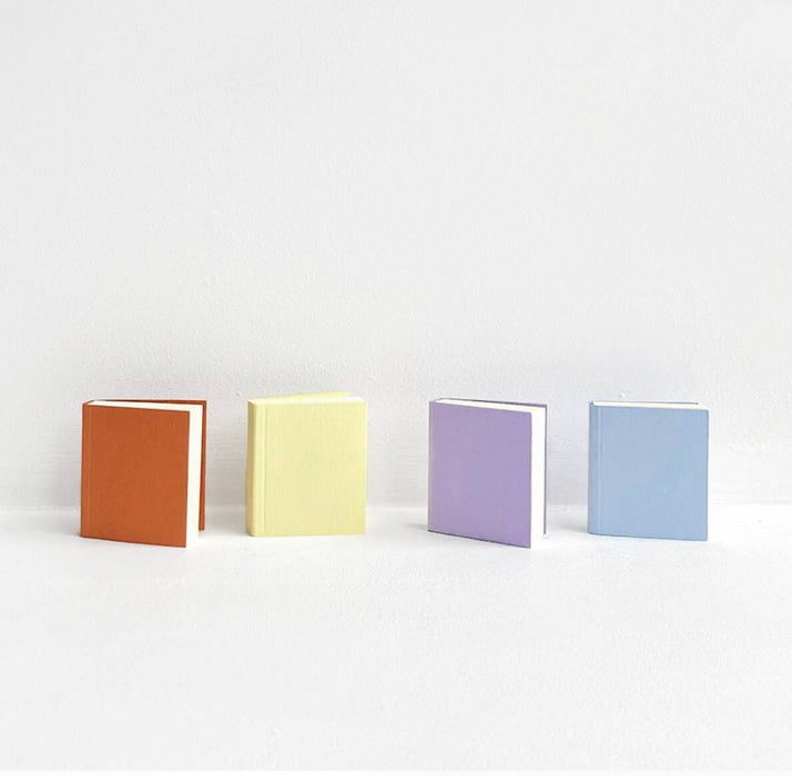 Miniature Cŏlŏr Notebooks