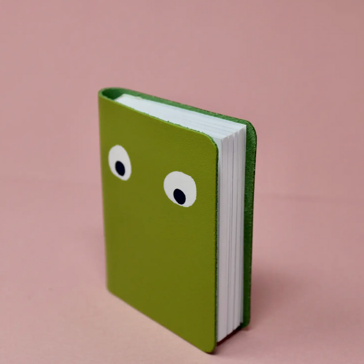 Googly Eye Mini Notebooks