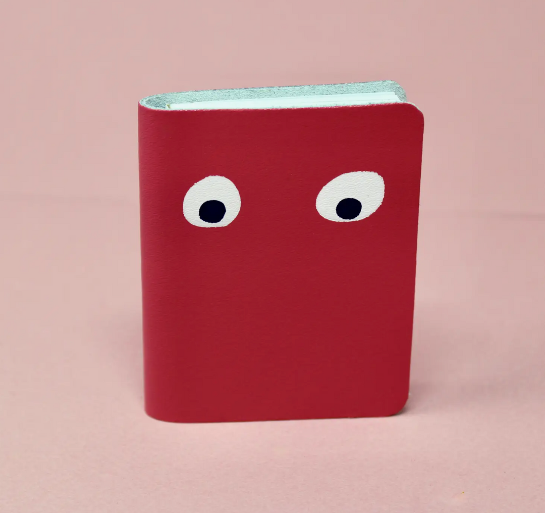 Googly Eye Mini Notebooks