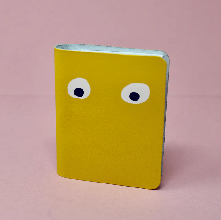 Googly Eye Mini Notebooks