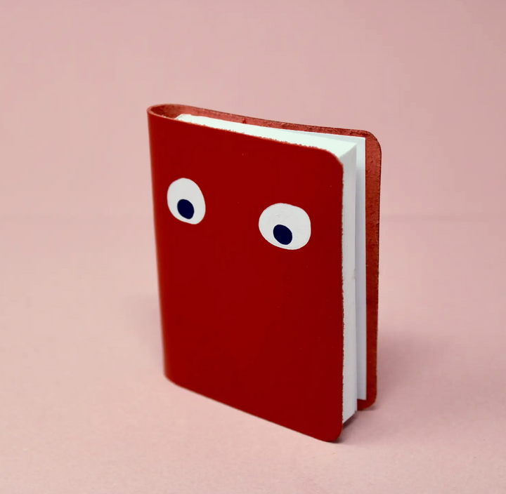 Googly Eye Mini Notebooks