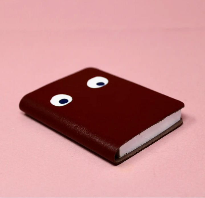 Googly Eye Mini Notebooks