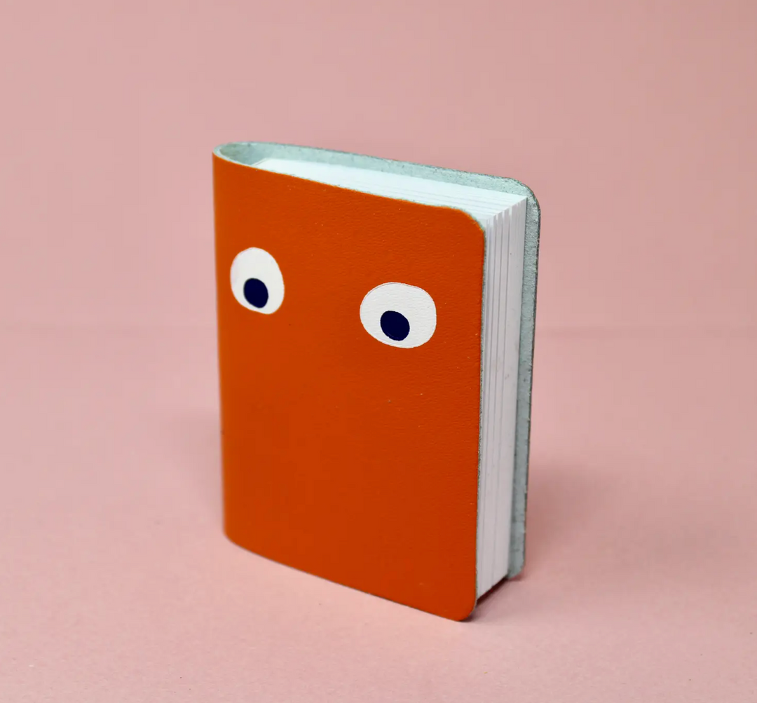 Googly Eye Mini Notebooks