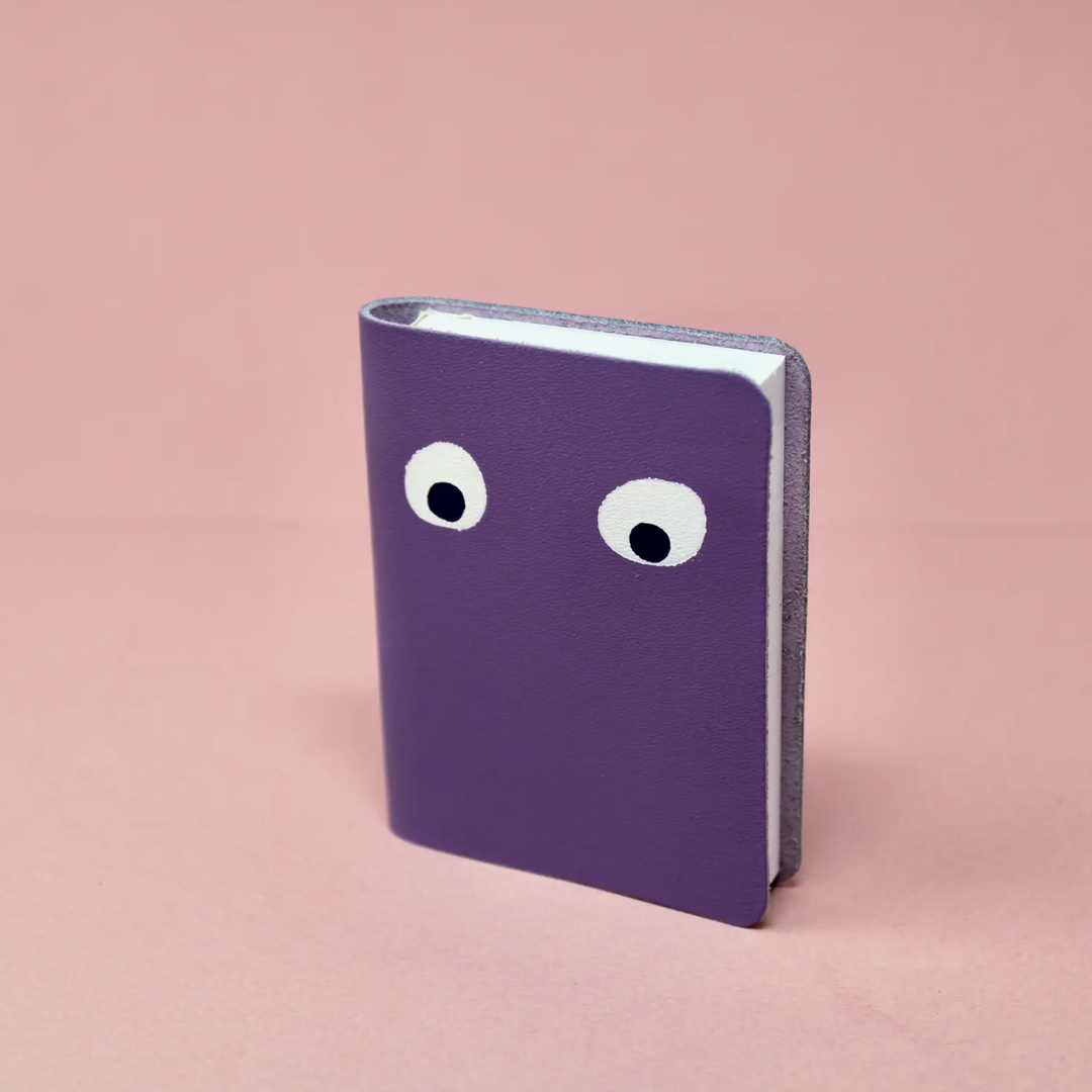 Googly Eye Mini Notebooks