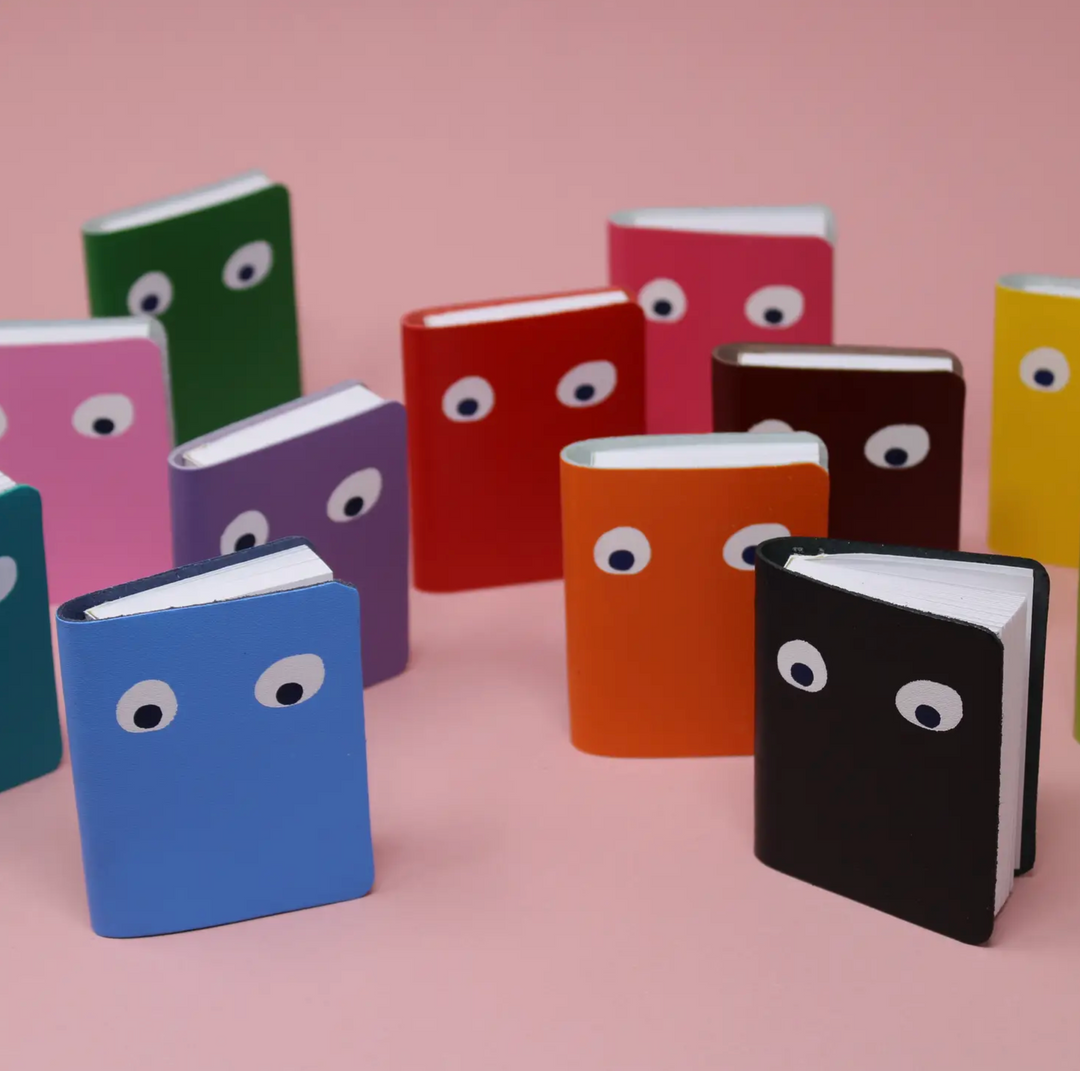 Googly Eye Mini Notebooks