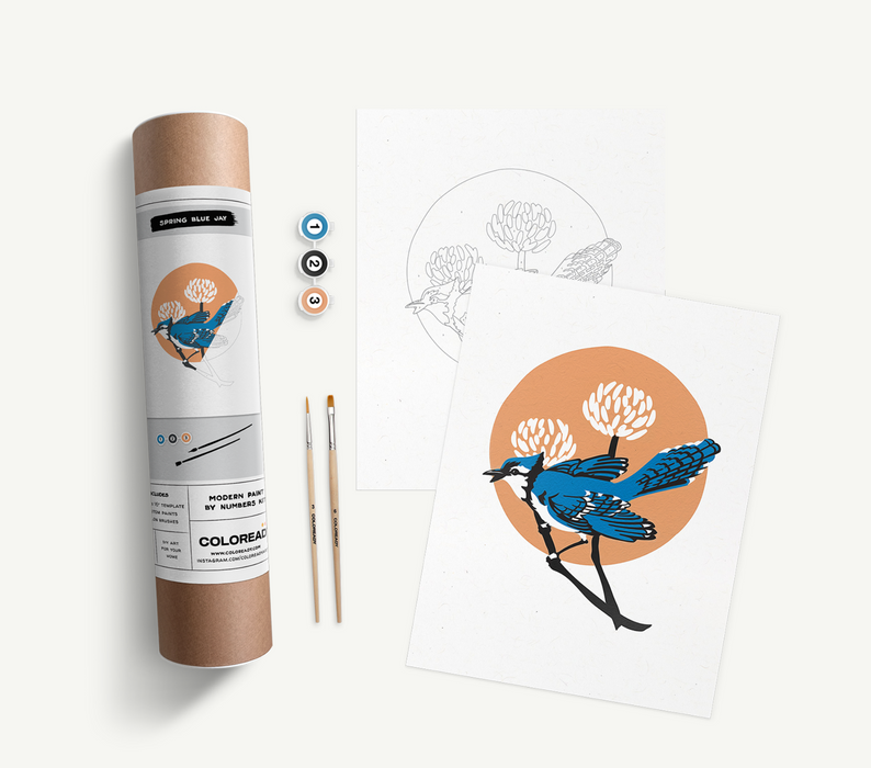 Spring Blue Jay Paint by Numbers