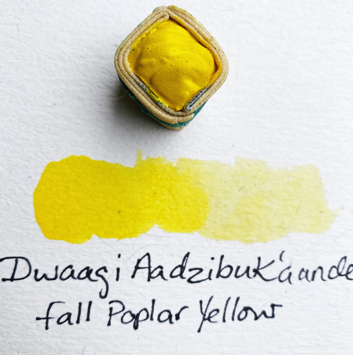 Watercolor Paintstones - Beam