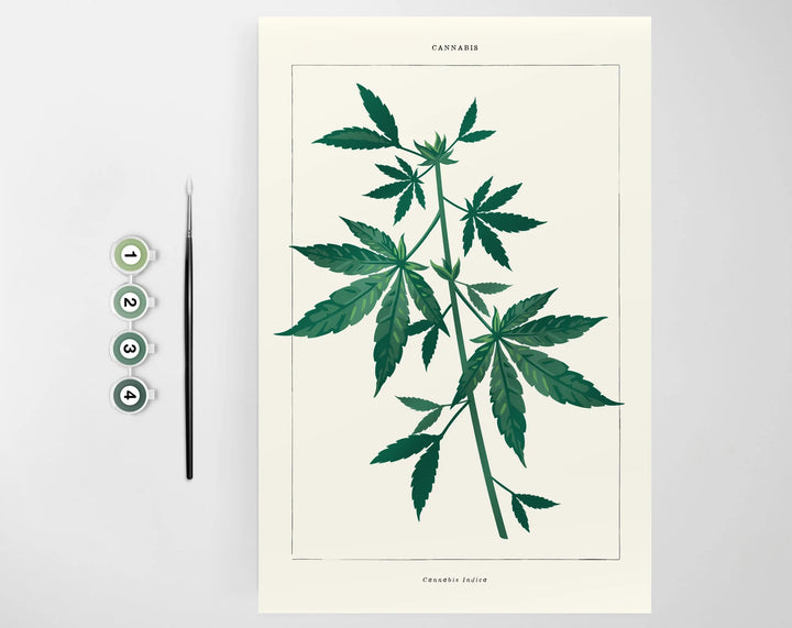 Cannabis Botanical Paint by Numbers
